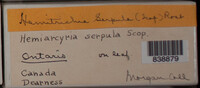 Image Associated With the Occurence